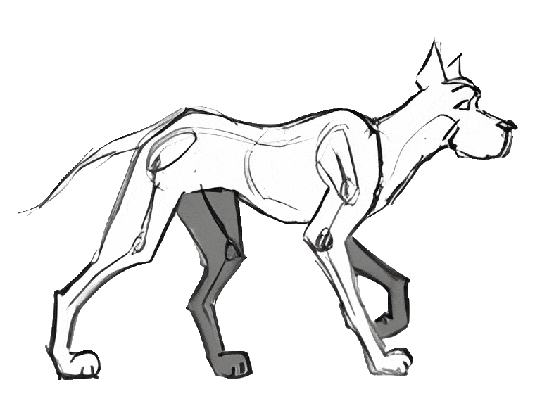 Line-drawn animation of a dog walking in profile, legs cycling through a full gait, used as the reference for the robot's walk.