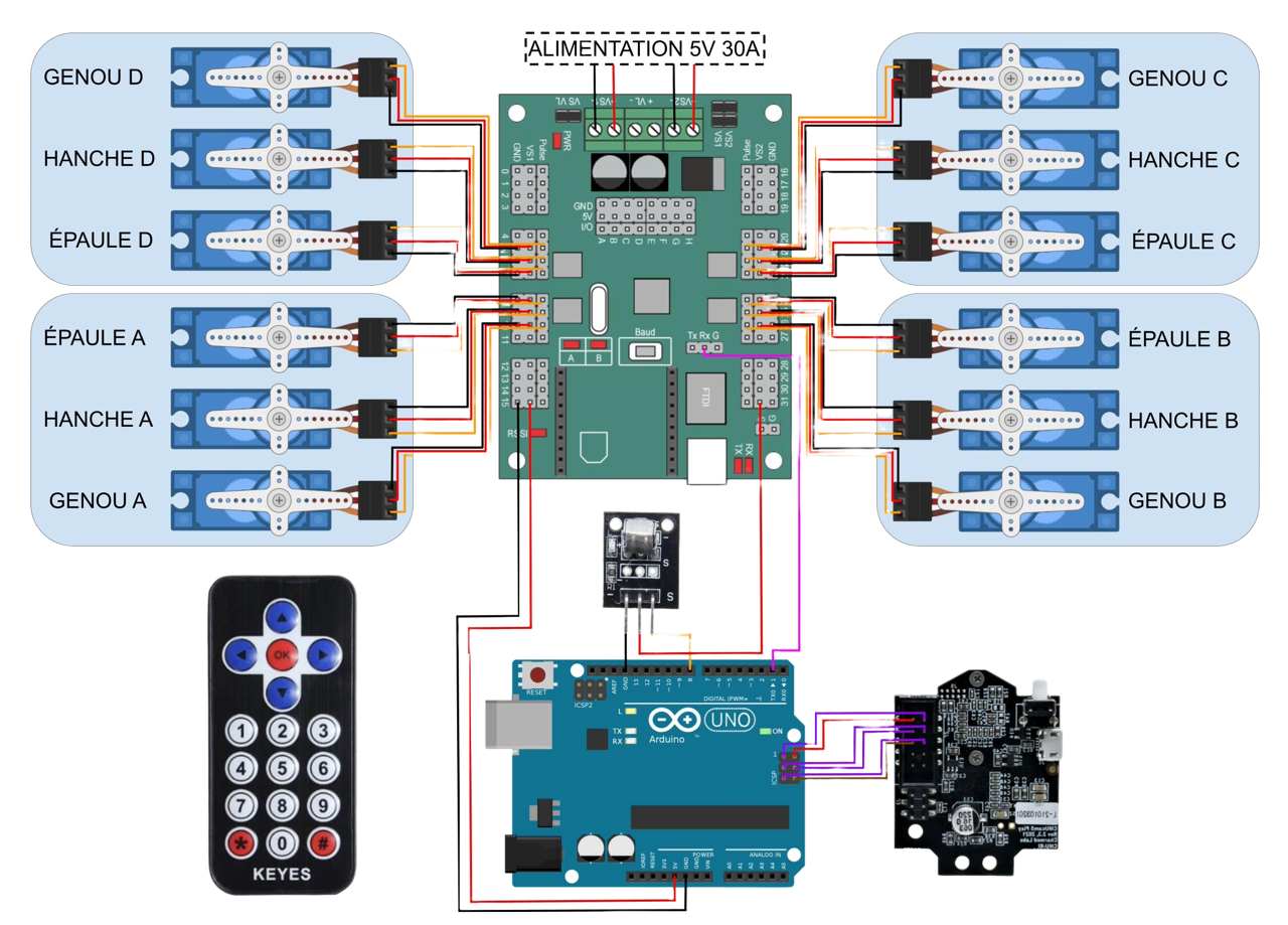 Wiring diagram of the robot: twelve servos grouped as shoulder, hip and knee for each of the four legs (labelled in French), all running to a central servo controller board powered by a 5 volt 30 amp supply, with an Arduino Uno, an infrared remote and a sensor board below.